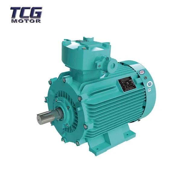 electric motor